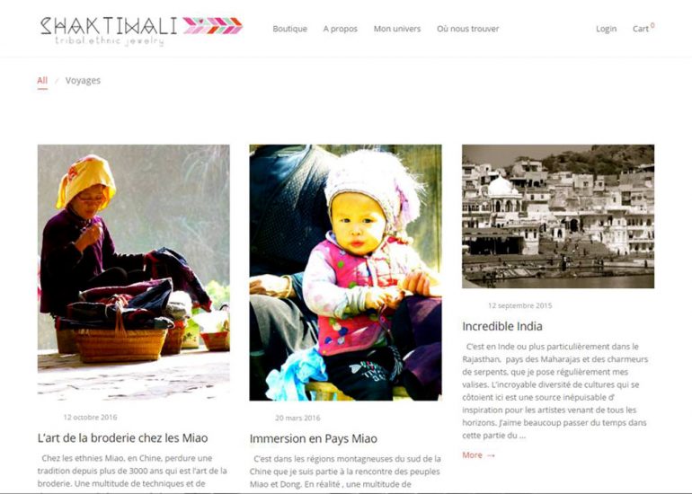 Création de site internet Nice - Shaktiwali