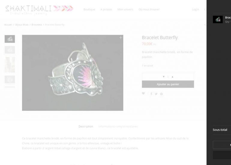 Création de site internet Nice - Shaktiwali